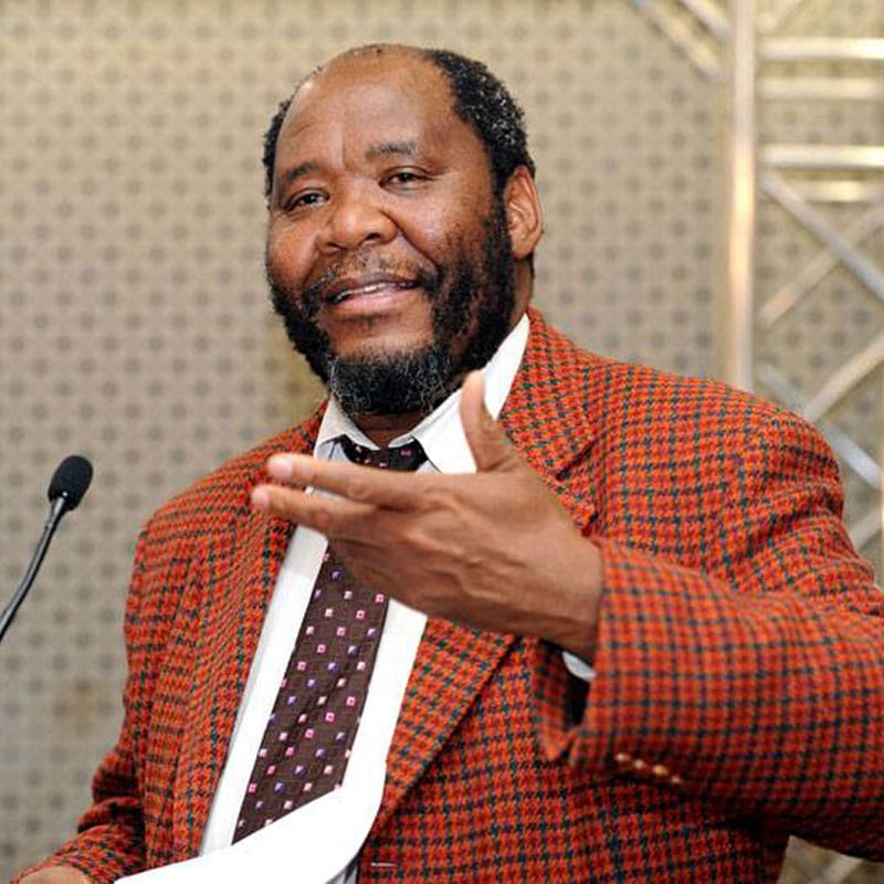 Dr. Pali Lehohla, Former Statistician-General of South Africa